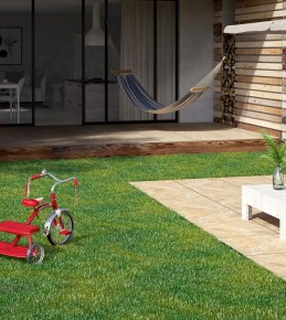Placi ceramice Meissen