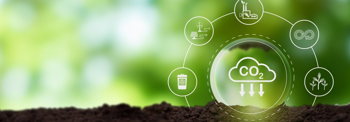 Elis Pavaje mizeaza pe sustenabilitate prin reciclare, economisind pana la 12% din resursele naturale