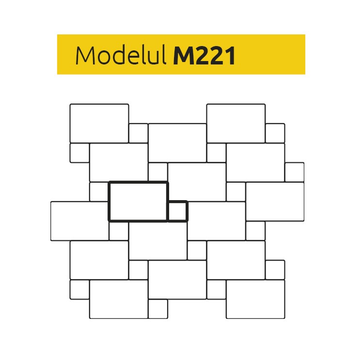 M221