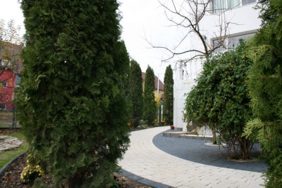 Curte vila, pavele Rustic Clasic, culoare, Alb-Crem si Antracit