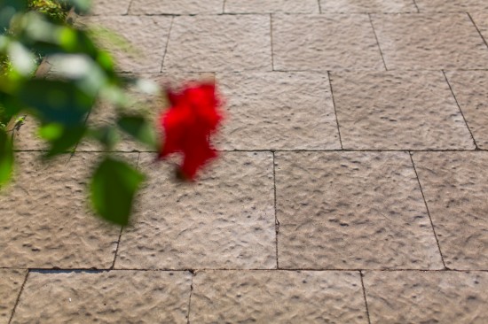 Curte, pavele Rustic P4, culoare Cafe