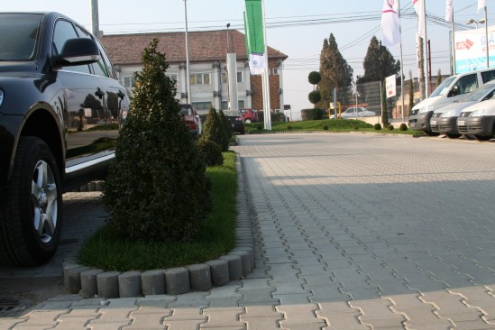 Sediul Protos, Alba Iulia, pavele Dublu T