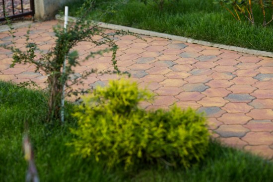 Curte, pavele Cromatica Floare, culoare Pastel