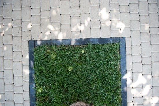 Curte si alei Maris, culoare alb - crem