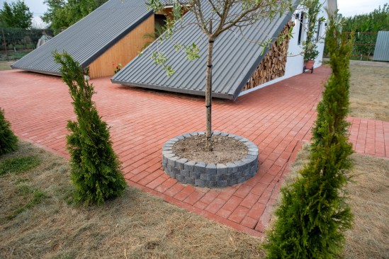 Alei curte, pavele Dreptunghi D2, culoare teracota