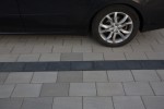 Pavele si Dale Standard - Elfix 3