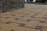 Pavele si Dale Standard - Dreptunghi D5