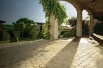 Pavele si Dale Premium - Antico P6