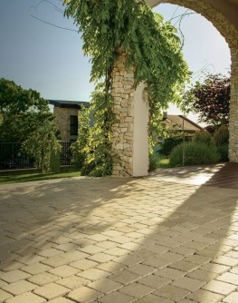 Antico P6