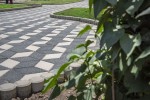 Pavele si Dale Premium - Trenova Romb Grande
