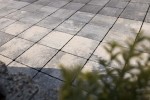 Pavele si Dale Premium - Anima P3
