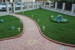 Pavele si Dale Standard - Floare 2