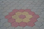 Pavele si Dale Standard - Floare 2