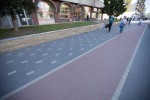 Pavele si Dale Standard - Dreptunghi D2