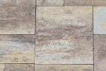 Pavele si Dale Premium Plus - Baroc P10