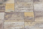 Pavele si Dale Premium Plus - Baroc P9