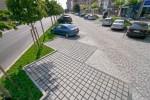 Pavele si Dale Standard - Patrat ECO