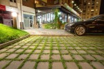 Pavele si Dale Standard - Patrat ECO