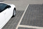 Pavele si Dale Standard - Patrat ECO
