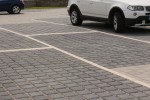 Pavele si Dale Standard - Patrat ECO