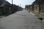 Pavele si Dale Standard - Frunza F1