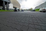 Pavele si Dale Standard - Frunza F4