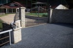 Pavele si Dale Standard - Frunza F4