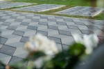 Pavele si Dale Premium - Trenova Romb Grande