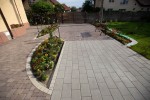 Pavele si Dale Standard - Dreptunghi D5