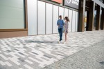 Pavele si Dale Premium - Umbra D10