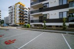 Pavele si Dale Standard - Dublu T T9