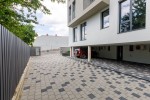 Pavele si Dale Standard - Elfix 2