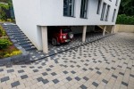 Pavele si Dale Standard - Elfix 2