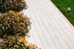 Pavele si Dale Standard - Dreptunghi D10
