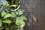Pavele si Dale Standard - Dreptunghi D10