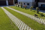 Pavele si Dale Standard - Grila 2