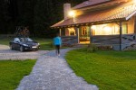 Pavele si Dale Premium - Pietra