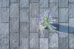 Pavele si Dale Premium - Rustic Clasic