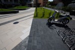 Pavele si Dale Standard - Dreptunghi D4