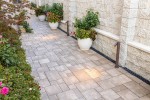 Pavele si Dale Premium - Decora