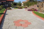 Pavele si Dale Standard - Floare 2