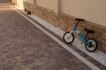 Pavele si Dale Premium - Maris Antico