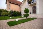 Pavele si Dale Premium - Maris Antico