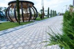 Pavele si Dale Premium - Anima P3
