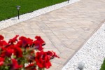 Pavele si Dale Premium Plus - Baroc P9