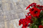 Pavele si Dale Premium Plus - Baroc P10