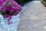 Pavele si Dale Premium Plus - Baroc P10