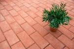 Pavele si Dale Standard - Dreptunghi D2
