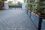 Pavele si Dale Standard - Dreptunghi D1