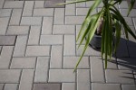 Pavele si Dale Standard - Dreptunghi D1